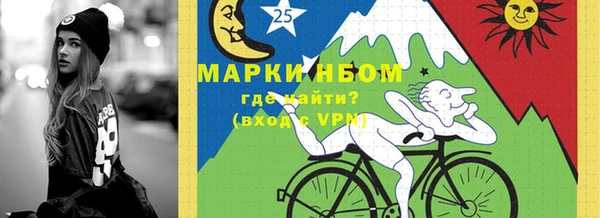 прущий лед Алзамай