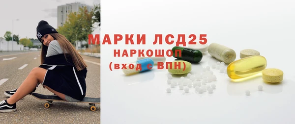 прущий лед Алзамай