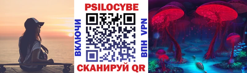 Псилоцибиновые грибы Psilocybe  сколько стоит  Богородск 
